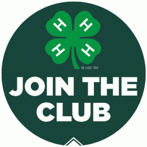 Cover photo for Club Flyer