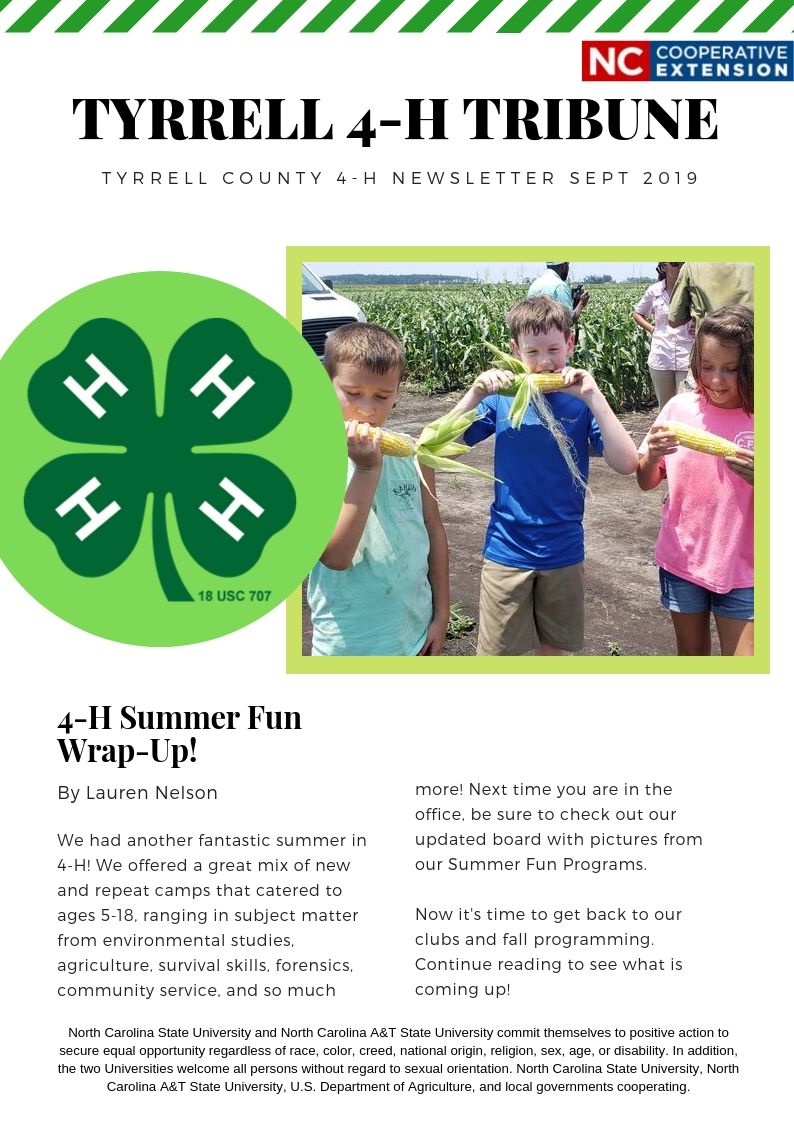 Newsletter cover