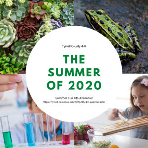 Cover photo for 4-H Summer Kits