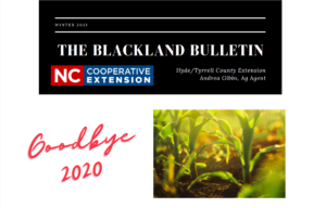 Cover photo for Winter 2021 Blackland Bulletin
