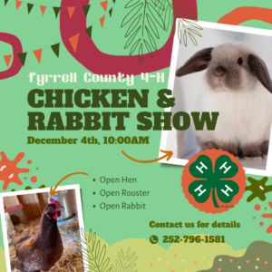 Cover photo for Chicken and Rabbit Show