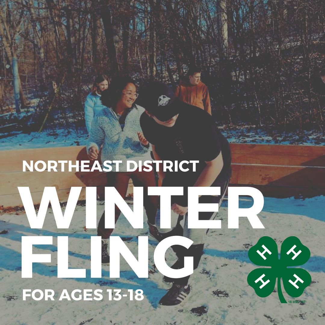 Northeast District Winter Fling