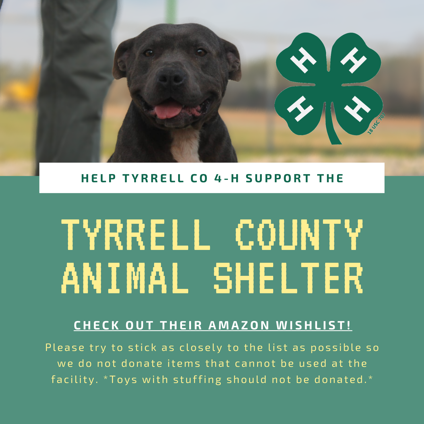 Help Tyrrell County 4-H support the Tyrrell County Animal Shelter