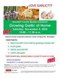 2023 GROWING GARLIC AT HOME