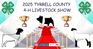 Cover photo for 2025 Tyrrell County 4-H Livestock Show