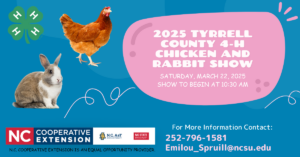 Cover photo for 2025 Tyrrell County 4-H Chicken and Rabbit Show