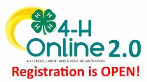 Banner for 4-H Online