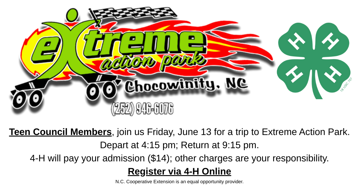Flyer for Field Trip to Extreme Action Park