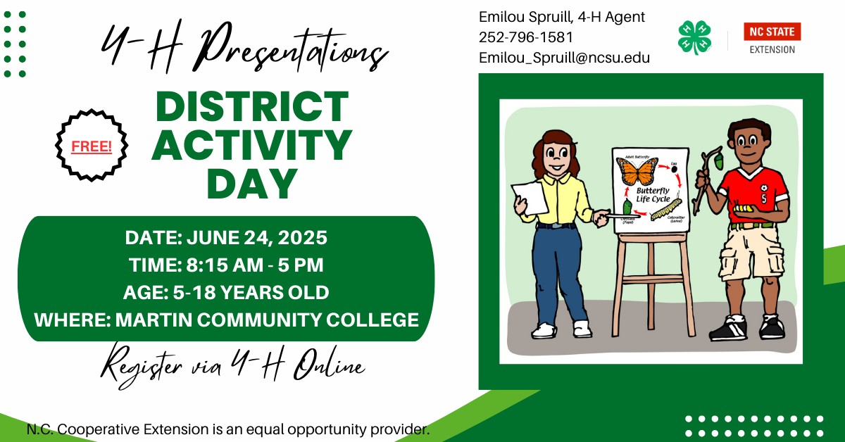 Flyer for Presentations at District Activity Day