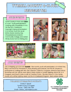 Flyer for July's Newsletter