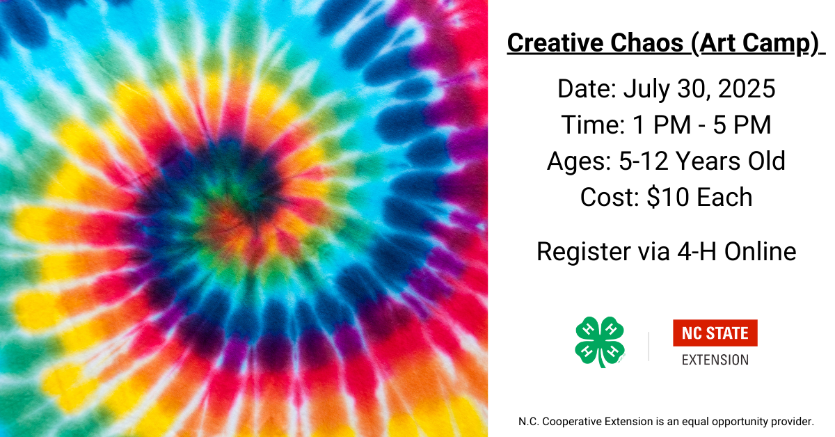 Flyer for Creative Chaos