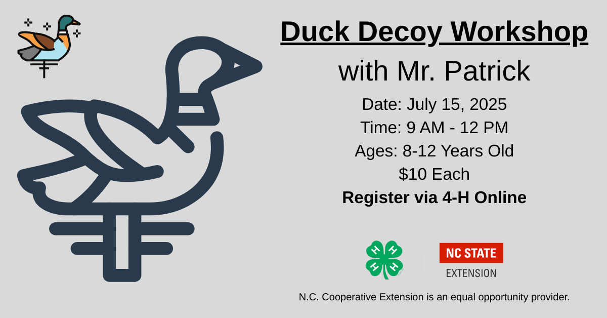 Flyer for Duck Decoy Workshop