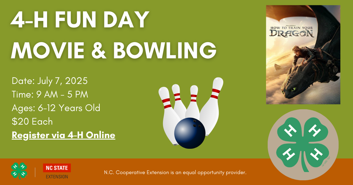 Flyer for Bowling & Movie