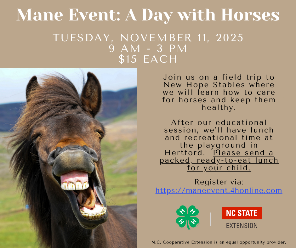 Flyer for Mane Event: A Day with Horses