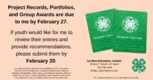 Flyer about Project Records, Portfolios, and Group Awards.